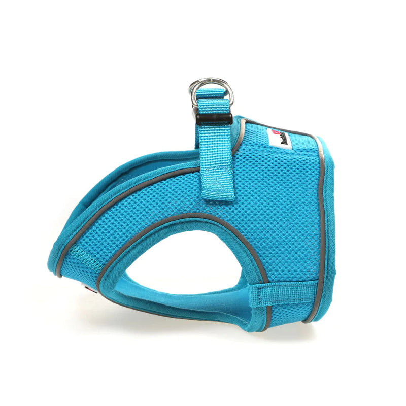 Load image into Gallery viewer, DOODLEBONE Snappy Harness, Aqua, 3
