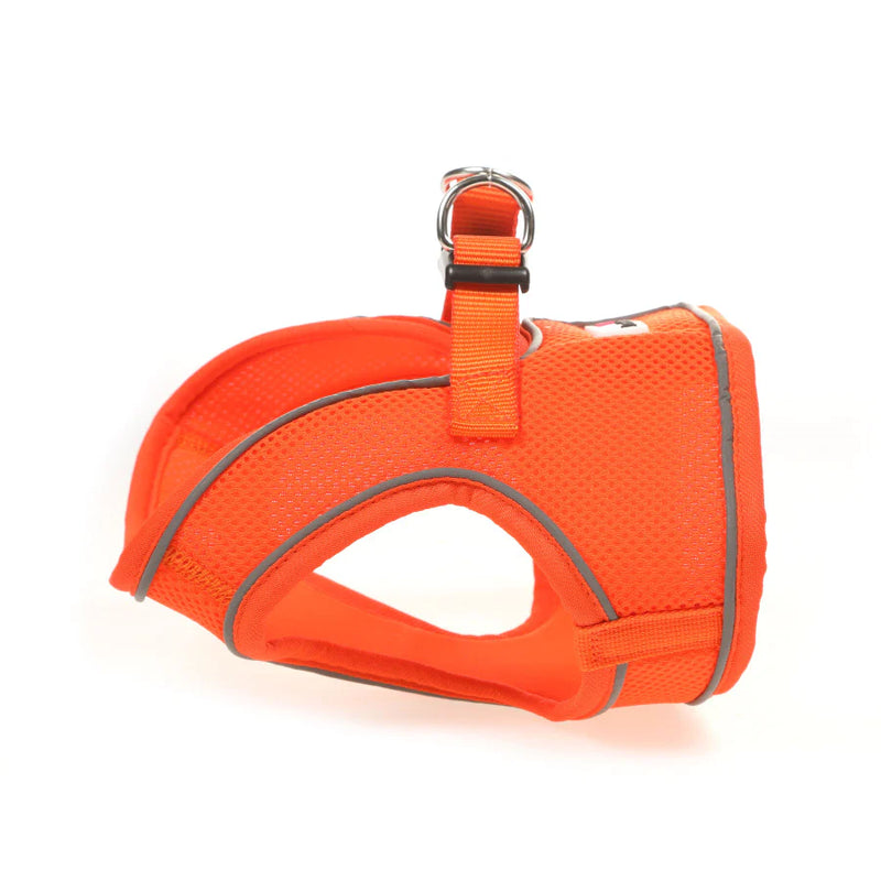 Load image into Gallery viewer, DOODLEBONE Snappy Harness, Tangerine, 1-2
