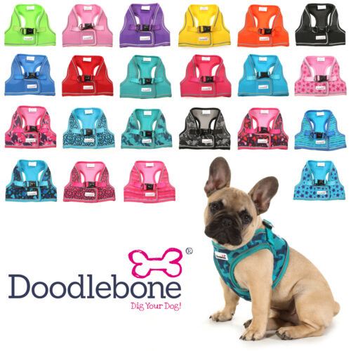 DOODLEBONE Pattern Snappy Harness, Electric Party, 5