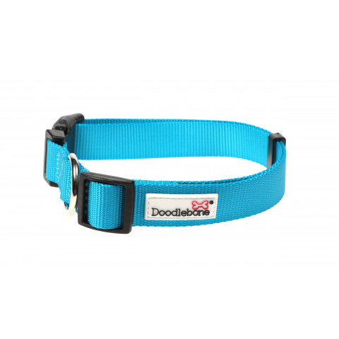 DOODLEBONE Collar, Aqua, 3-6