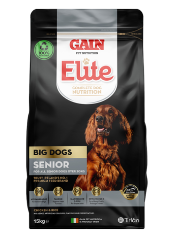 GAIN ELITE BIG DOG SENIOR 15KG